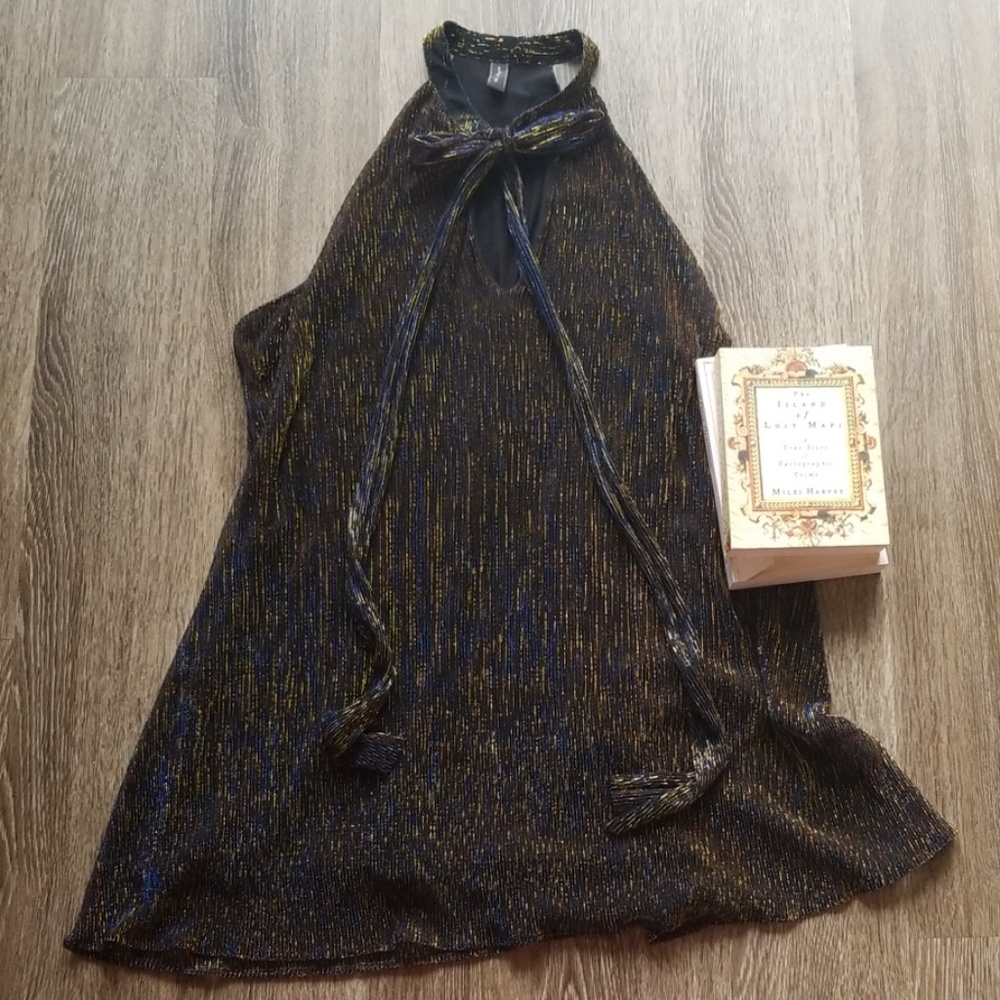NEW Shimmer Dress